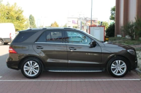 Mercedes-Benz ML 350 AMG/Designo/Full - [6] 