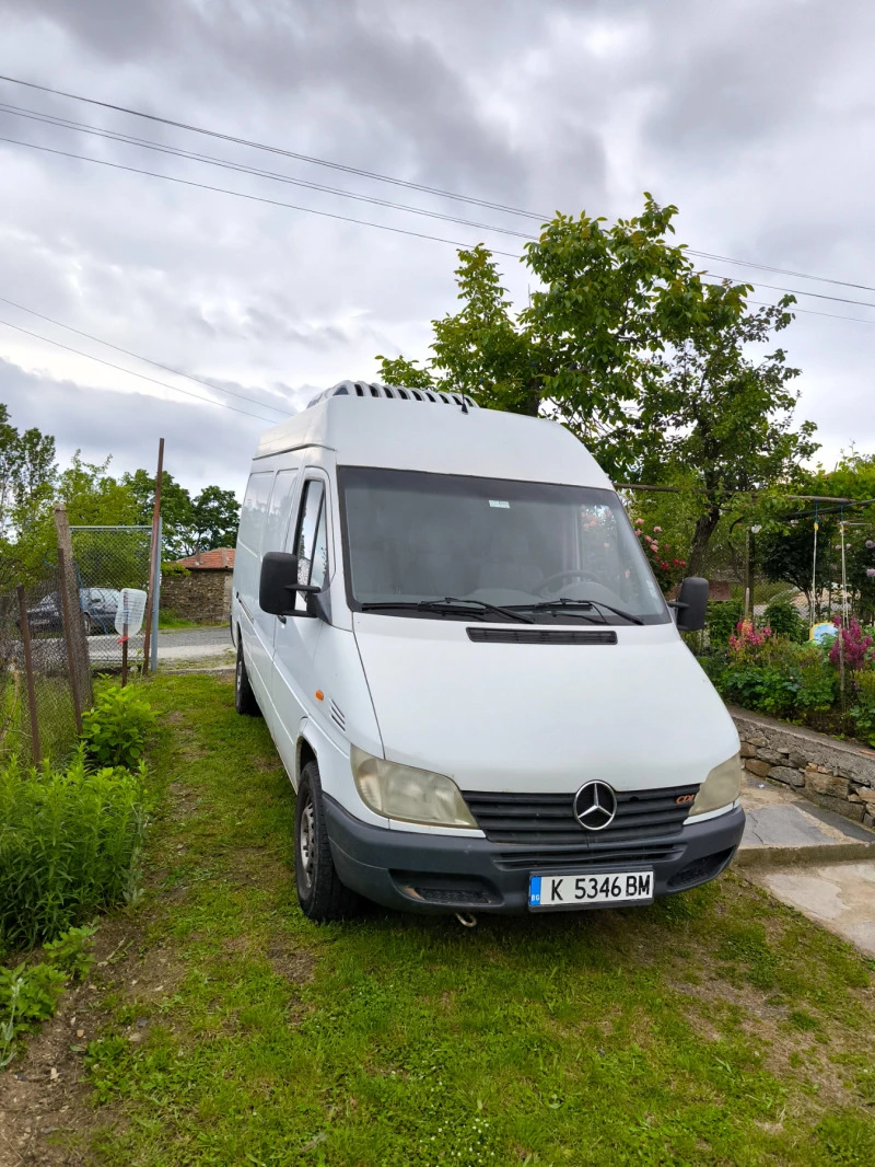 Mercedes-Benz Sprinter 313 Хладилен, снимка 3 - Бусове и автобуси - 45826204