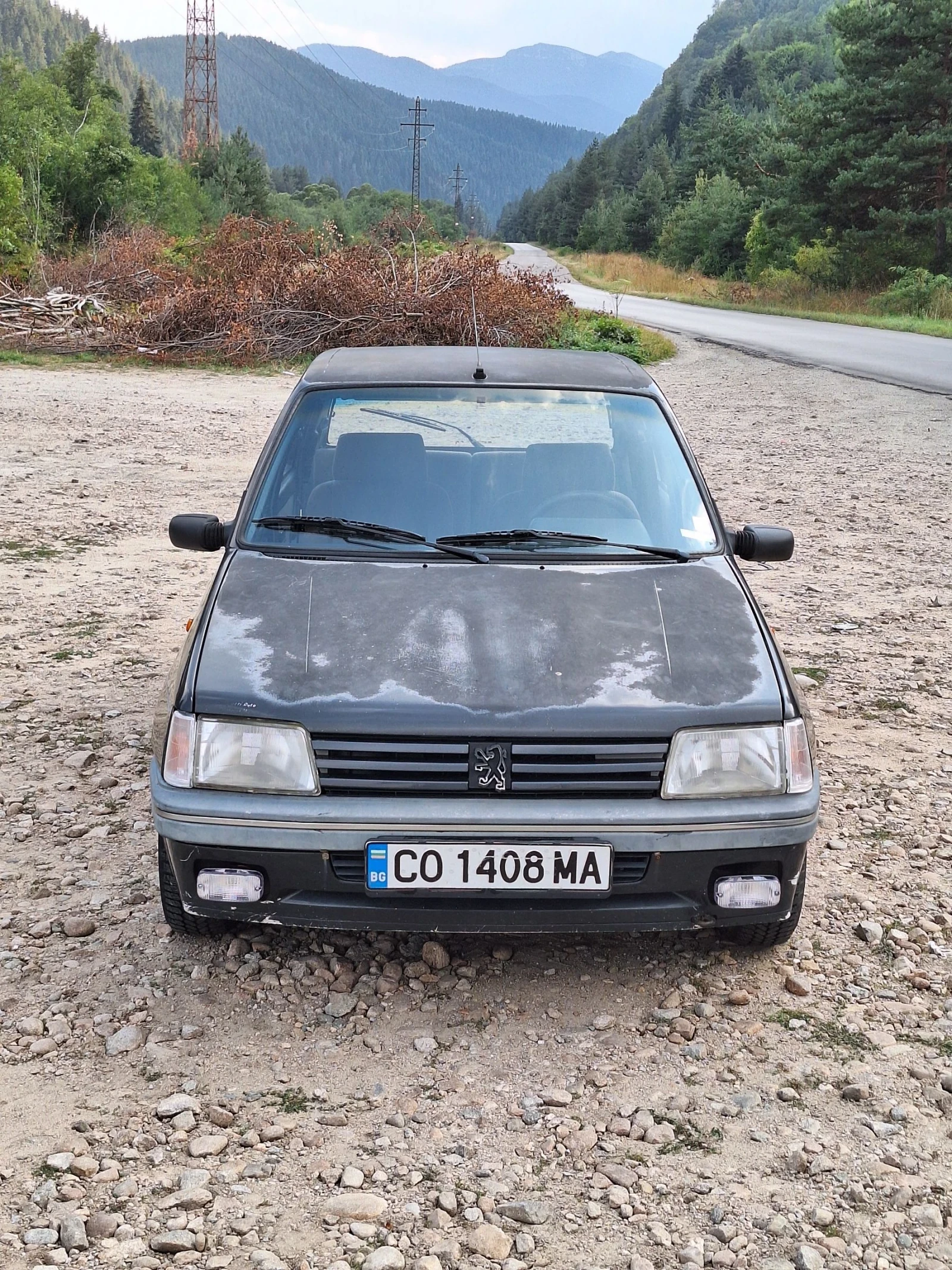 Peugeot 205 1.4 GT - изображение 6