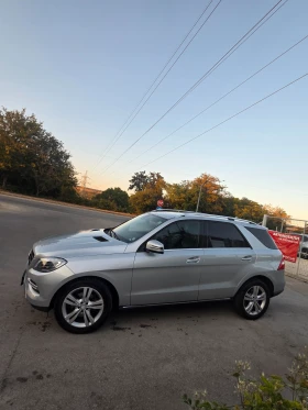 ����� �� �������� �� Mercedes-Benz ML 250 ���� ������ 4�4