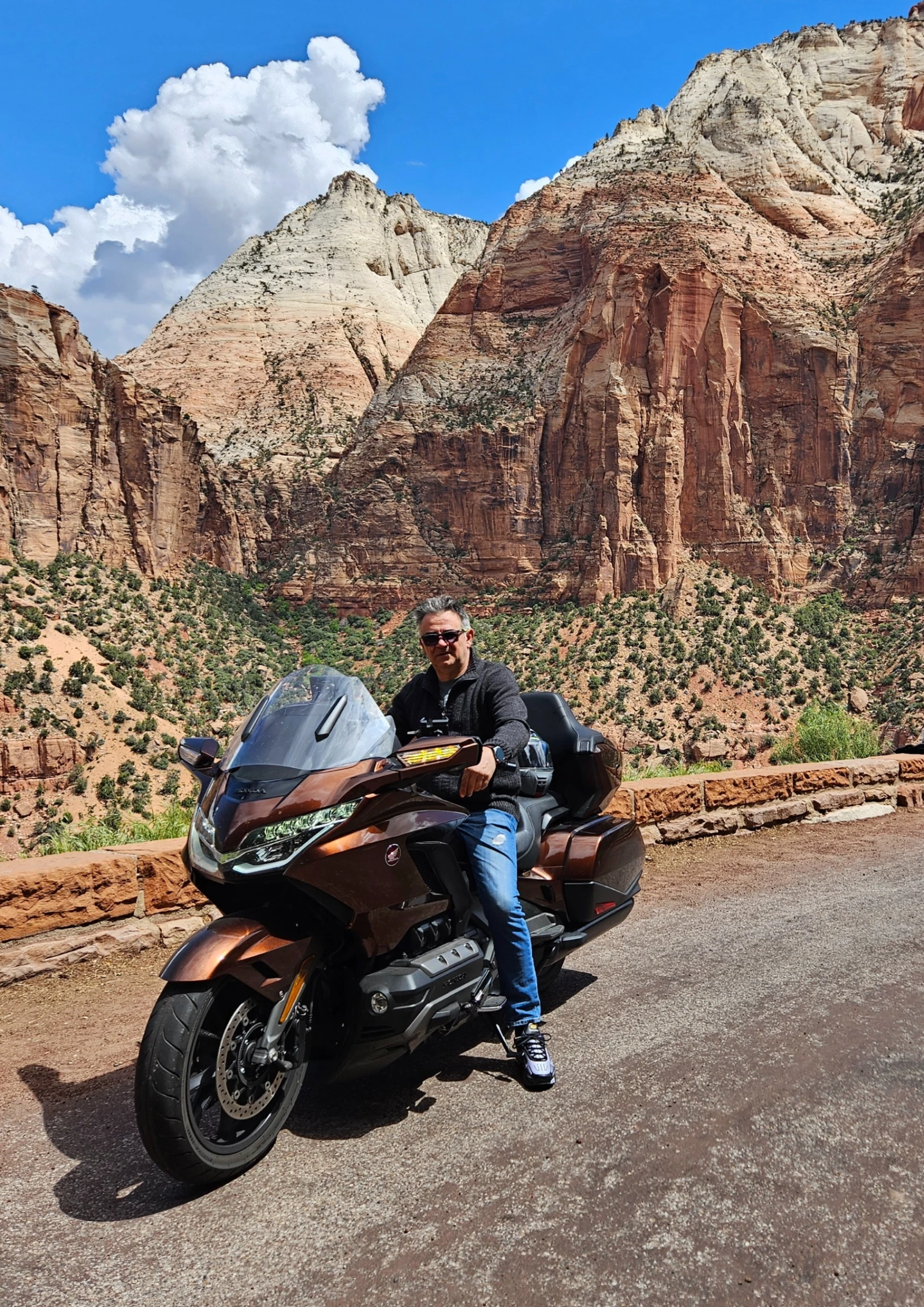 Honda Gold Wing DCT TOUR, снимка 8 - Мотоциклети и мототехника - 54261543