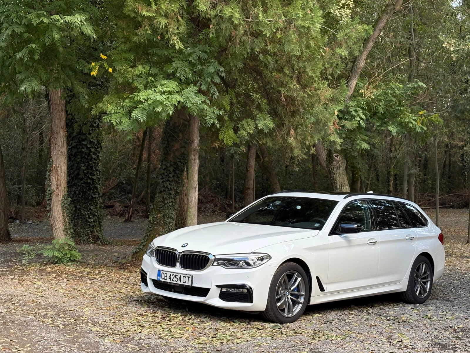 BMW 530 530xd, снимка 2 - Автомобили и джипове - 56649126