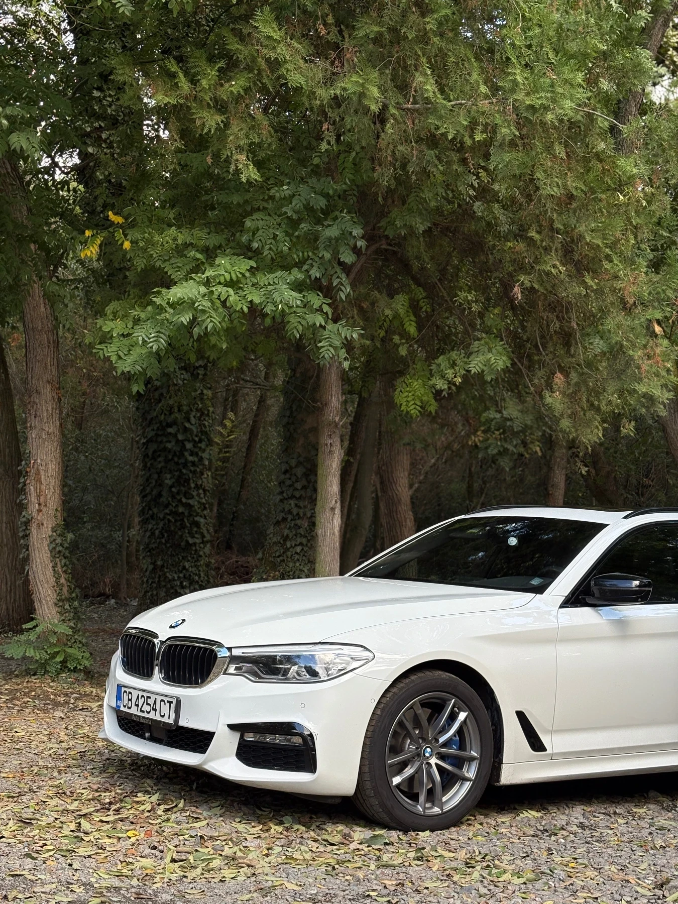 BMW 530 530xd, снимка 3 - Автомобили и джипове - 56649126