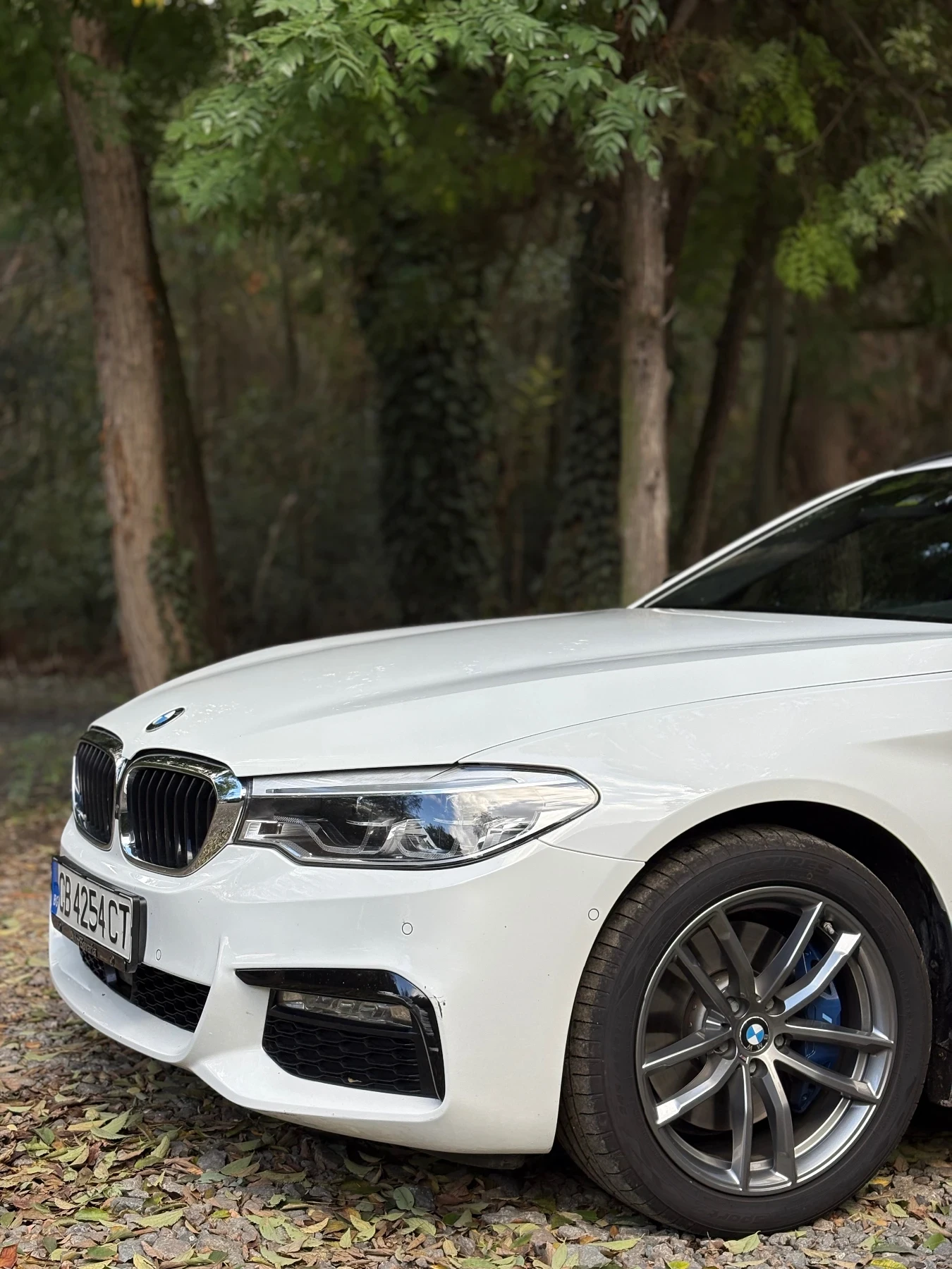 BMW 530 530xd, снимка 4 - Автомобили и джипове - 56649126