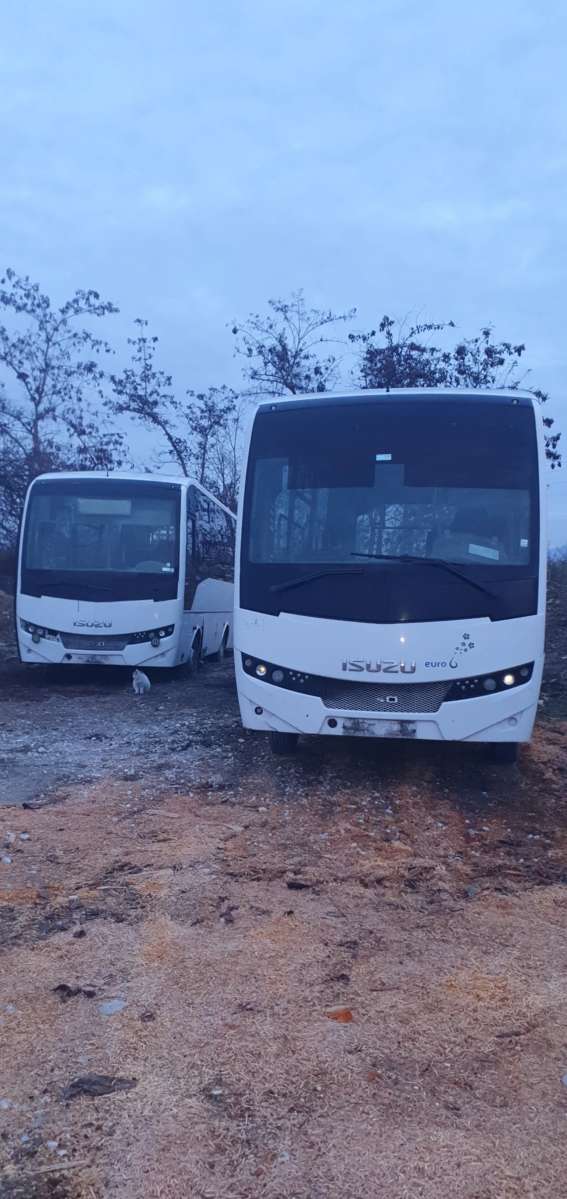 Isuzu Novocitti | Mobile.bg � ����������� 1