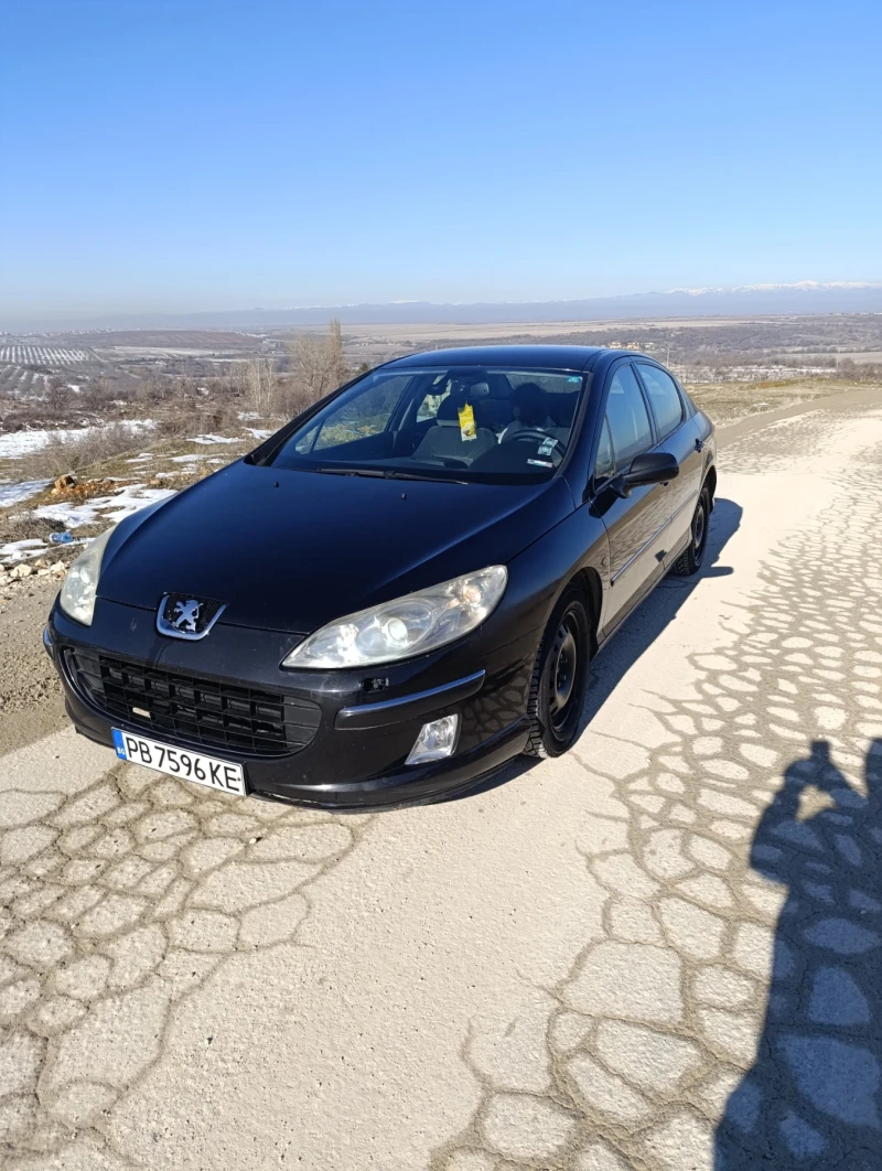 Peugeot 407 2.0HDI, снимка 2 - Автомобили и джипове - 52521446
