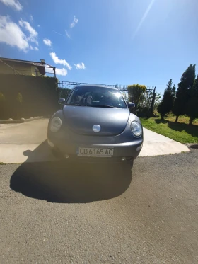  VW Beetle
