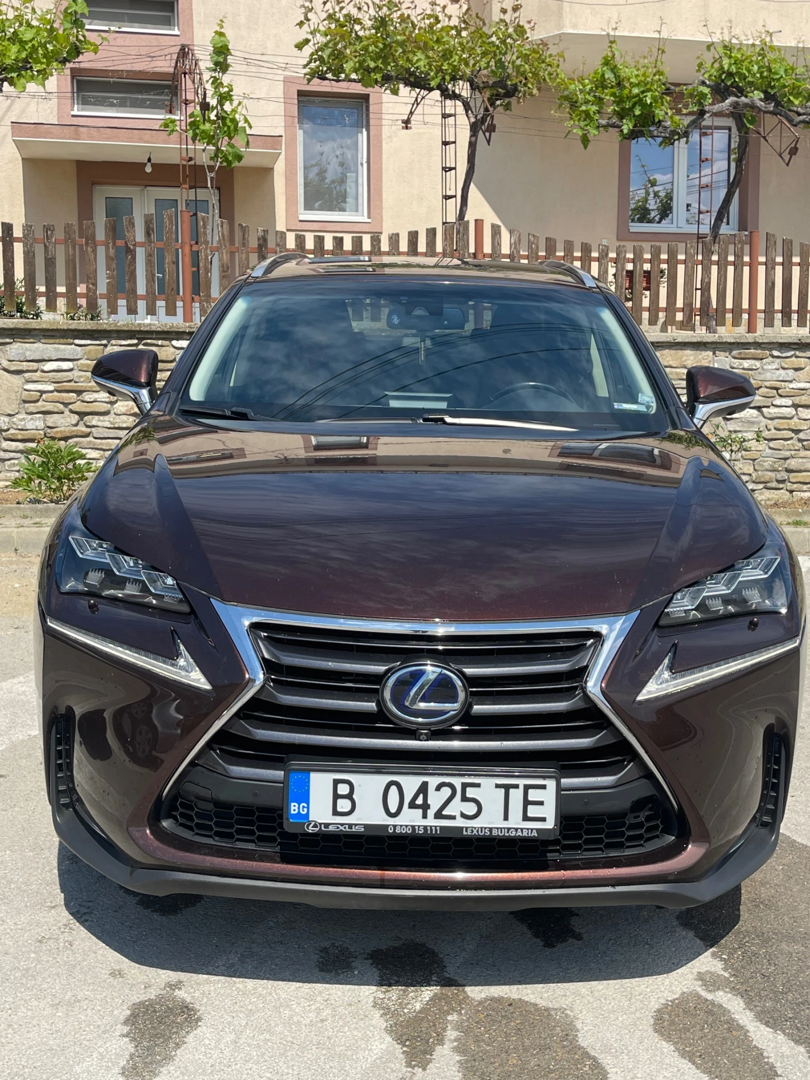 Lexus NX 300h Luxury - изображение 2