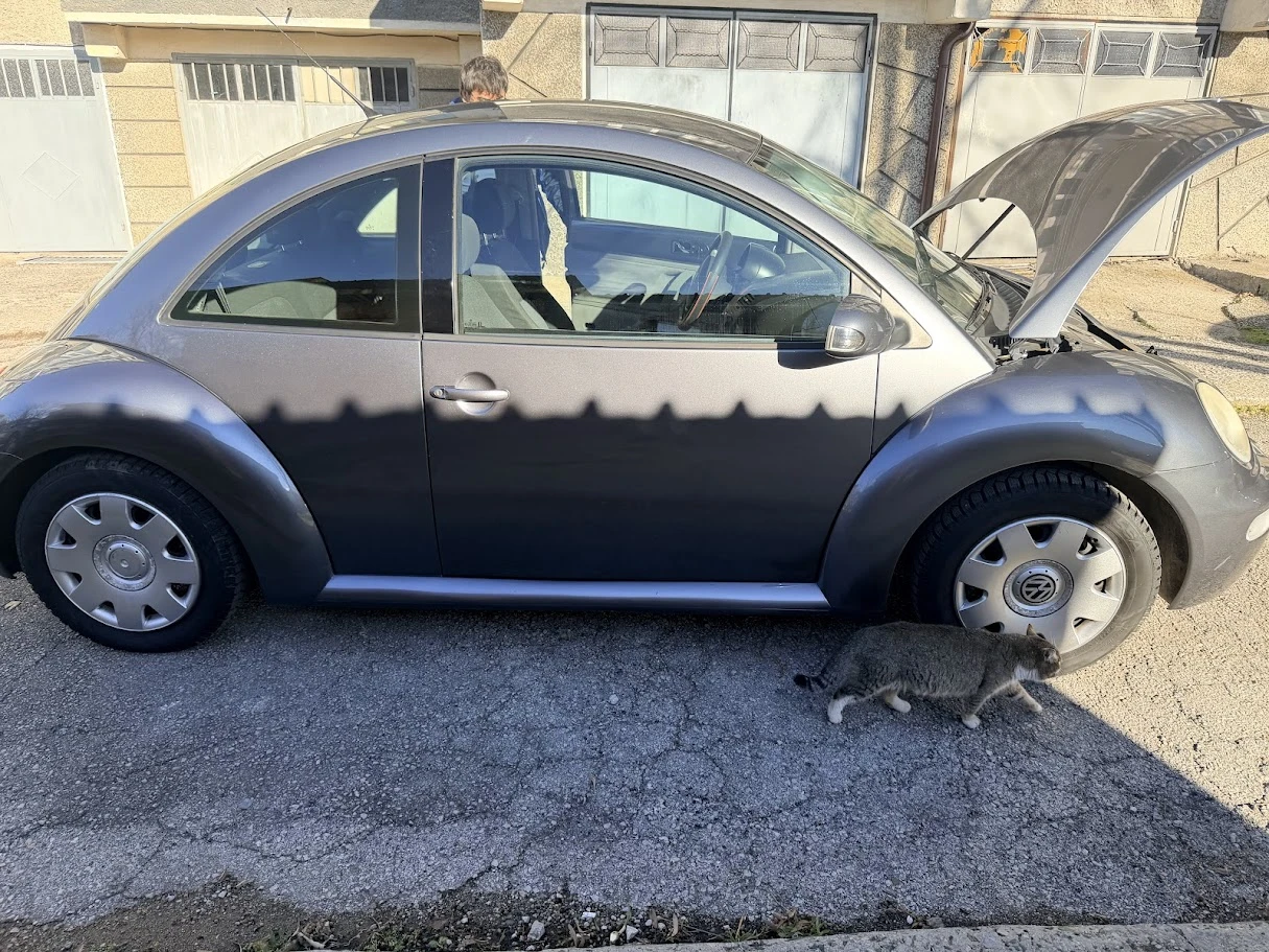 VW Beetle  - изображение 5