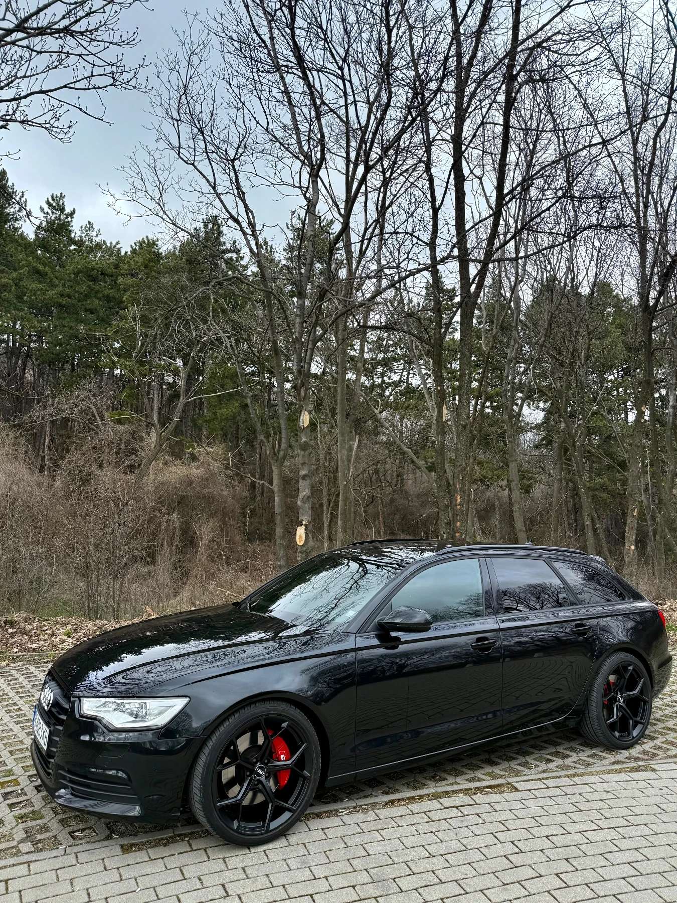 Audi A6 BI-TDI, снимка 5 - Автомобили и джипове - 54550336