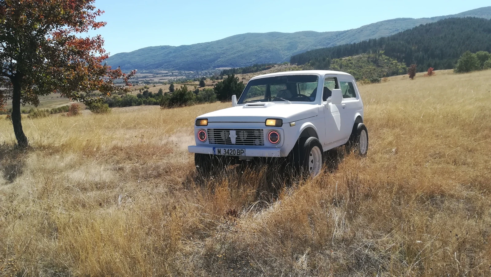 Lada Niva, снимка 2 - Автомобили и джипове - 56347984