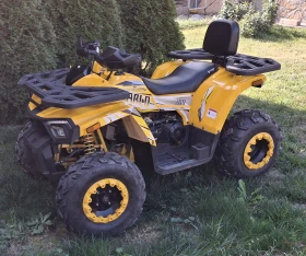 Quadro Quadro 200 cc, снимка 11