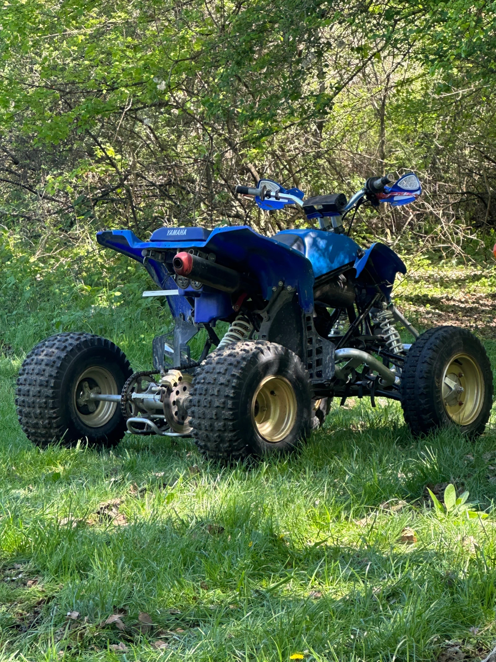 Yamaha Raptor Бластер - изображение 9