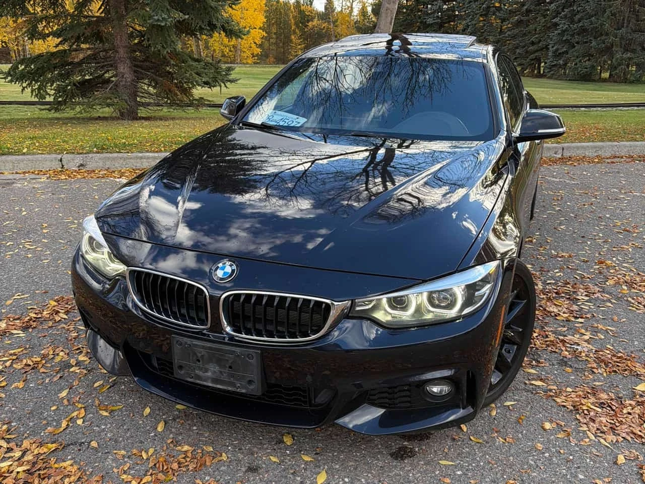 BMW 430 * 430i xDrive * CARFAX *  ��������� ���������� *  | Mobile.bg � ����������� 4