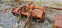 Обява за продажба на Трактор Landini Ландини 35 с фреза и фиат 55 кс ~7 600 лв. - изображение 2