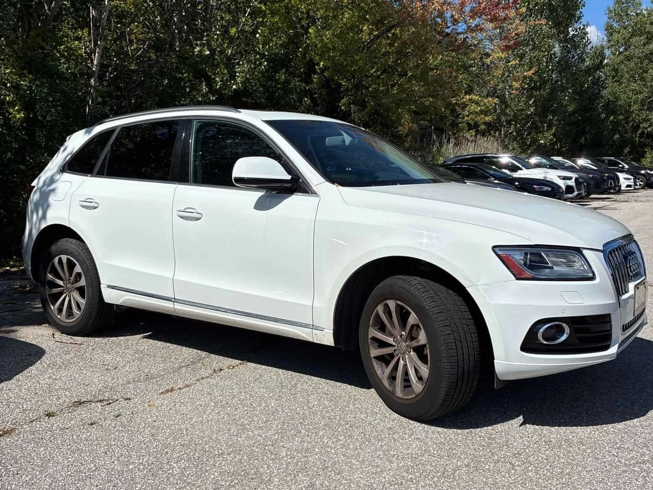 Audi Q5 * 2.0T Progressiv * CARFAX * ����� �� ����������� | Mobile.bg � ����������� 3