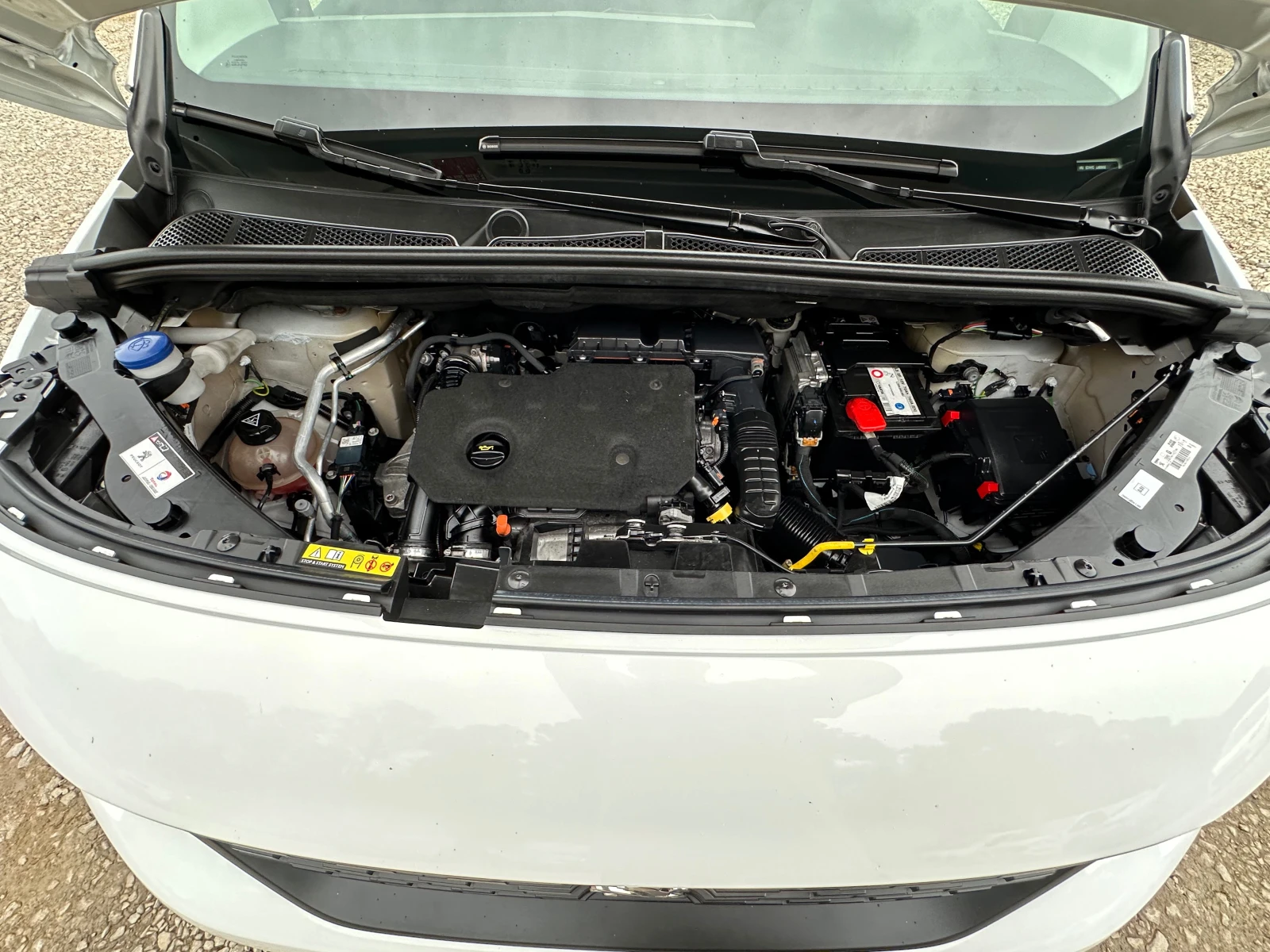 Peugeot Rifter 1.5HDI* TOP* 10.03.2019* 181900km | Mobile.bg   16