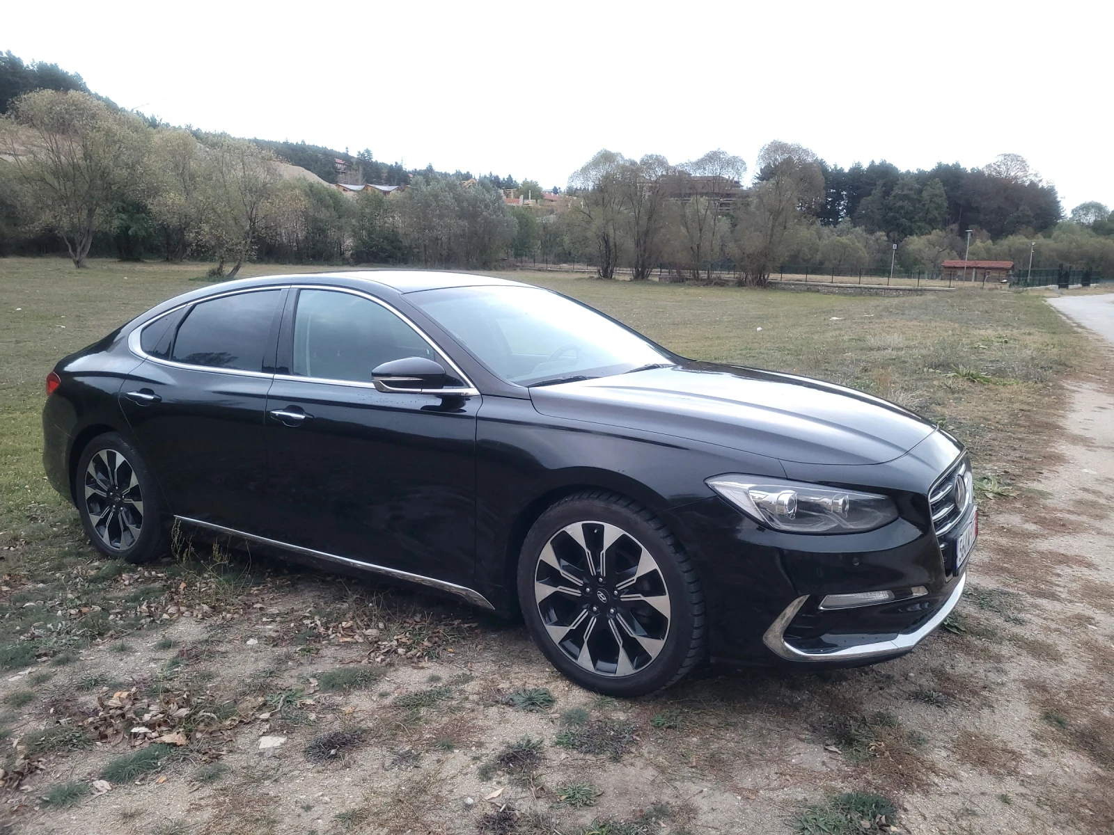 Hyundai Grandeur LPI 3.0 само на газ - изображение 2