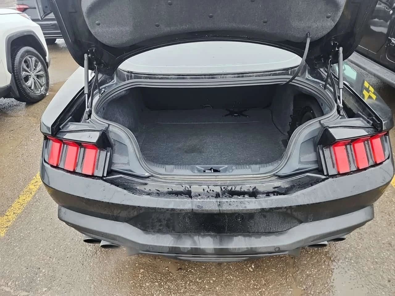 Ford Mustang GT PREMIUM  CARFAX, снимка 14 - Автомобили и джипове - 53760105