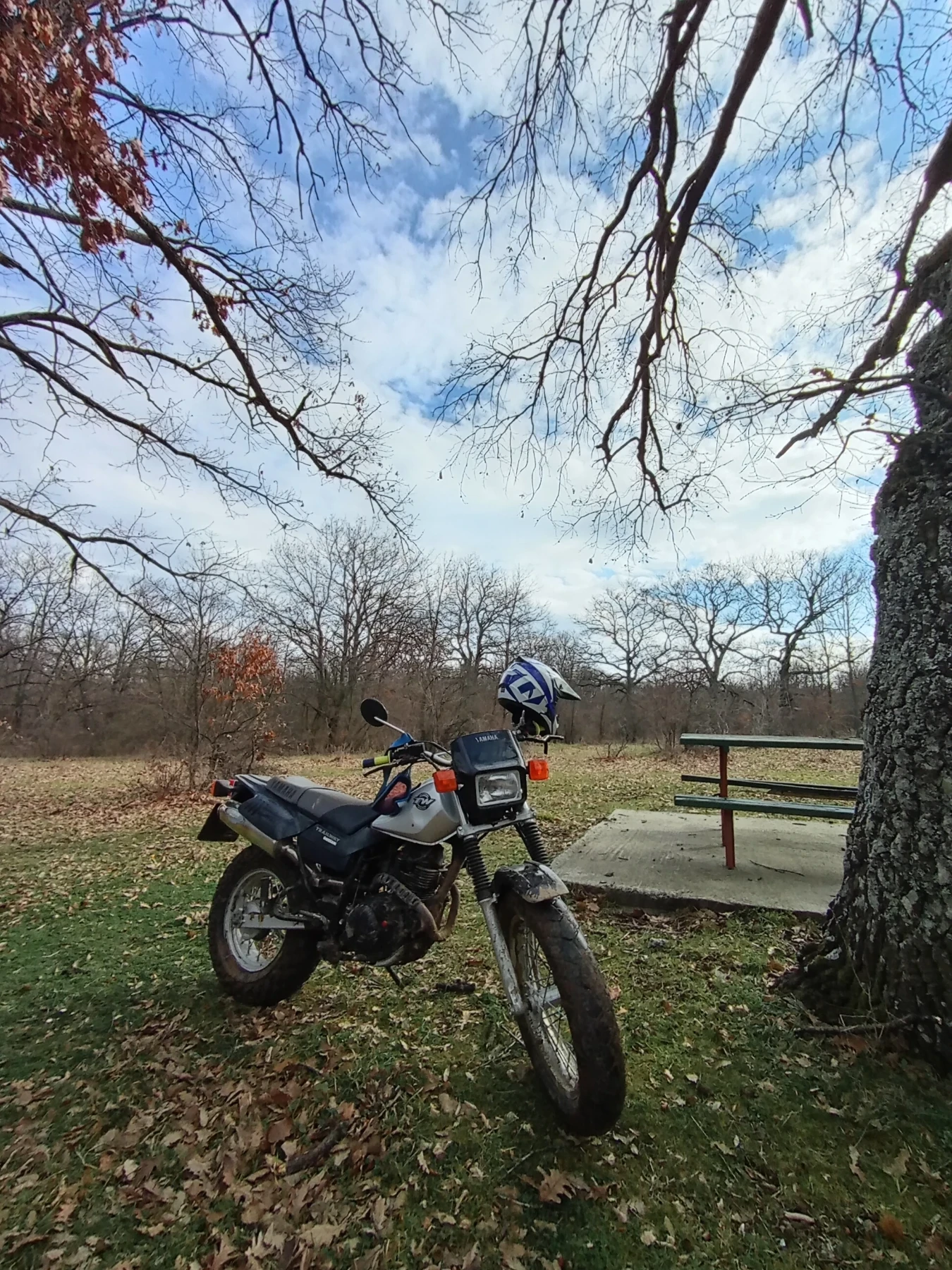 Yamaha Tw  - изображение 3