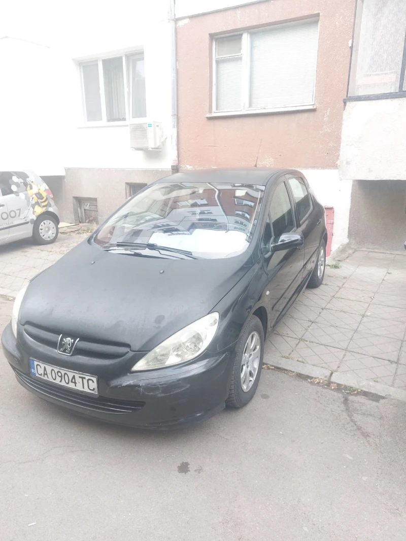 Peugeot 307 1.6, снимка 3 - Автомобили и джипове - 46808522