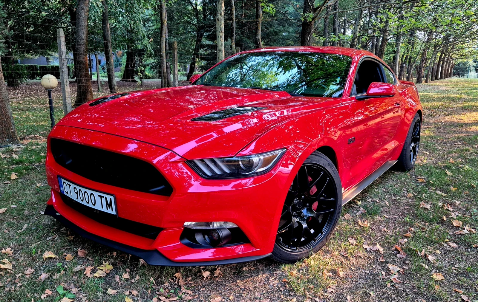 Ford Mustang GT 5.0 | Mobile.bg � ����������� 1