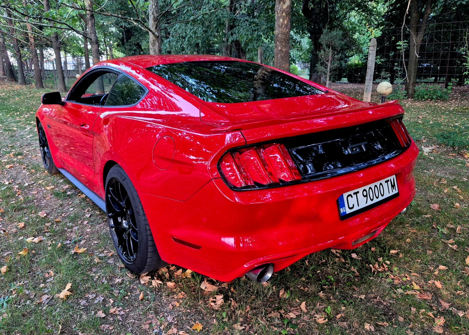 Ford Mustang GT 5.0 - изображение 3