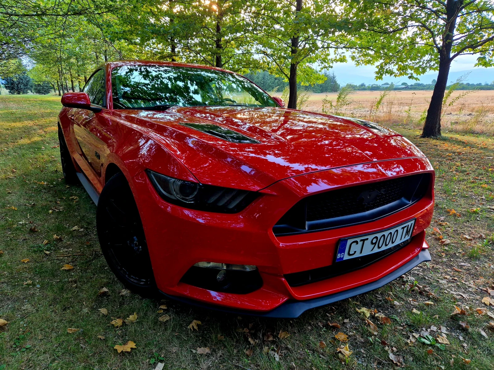 Ford Mustang GT 5.0 - изображение 2