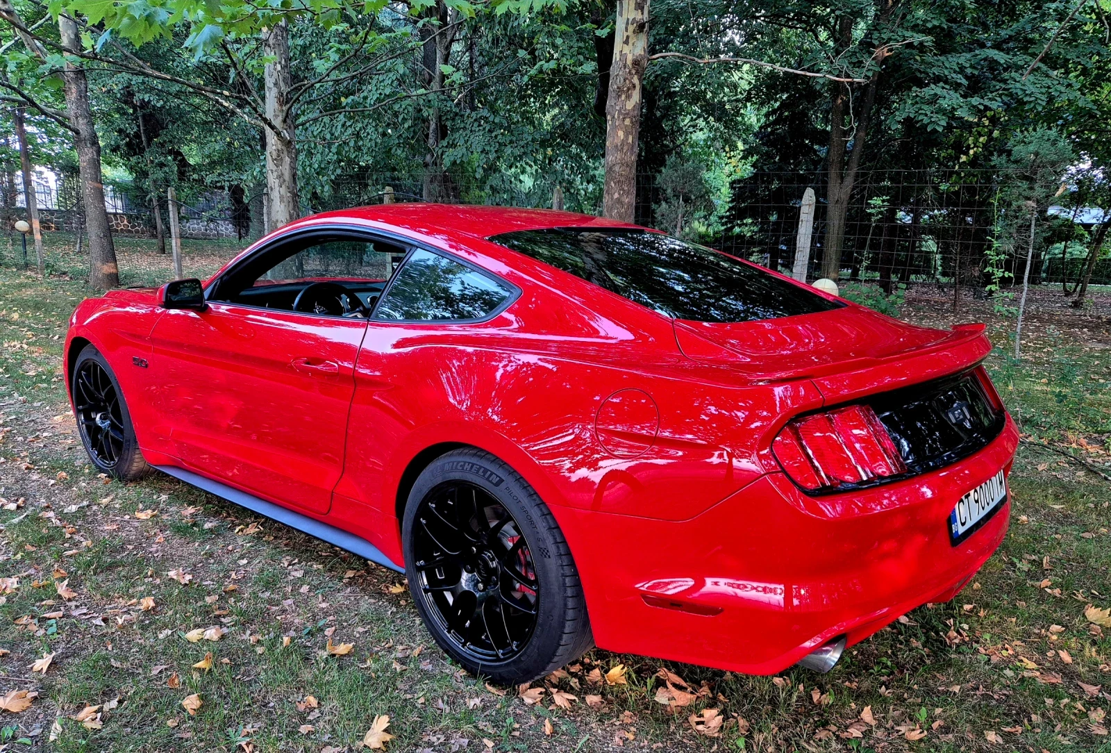 Ford Mustang GT 5.0 - изображение 5