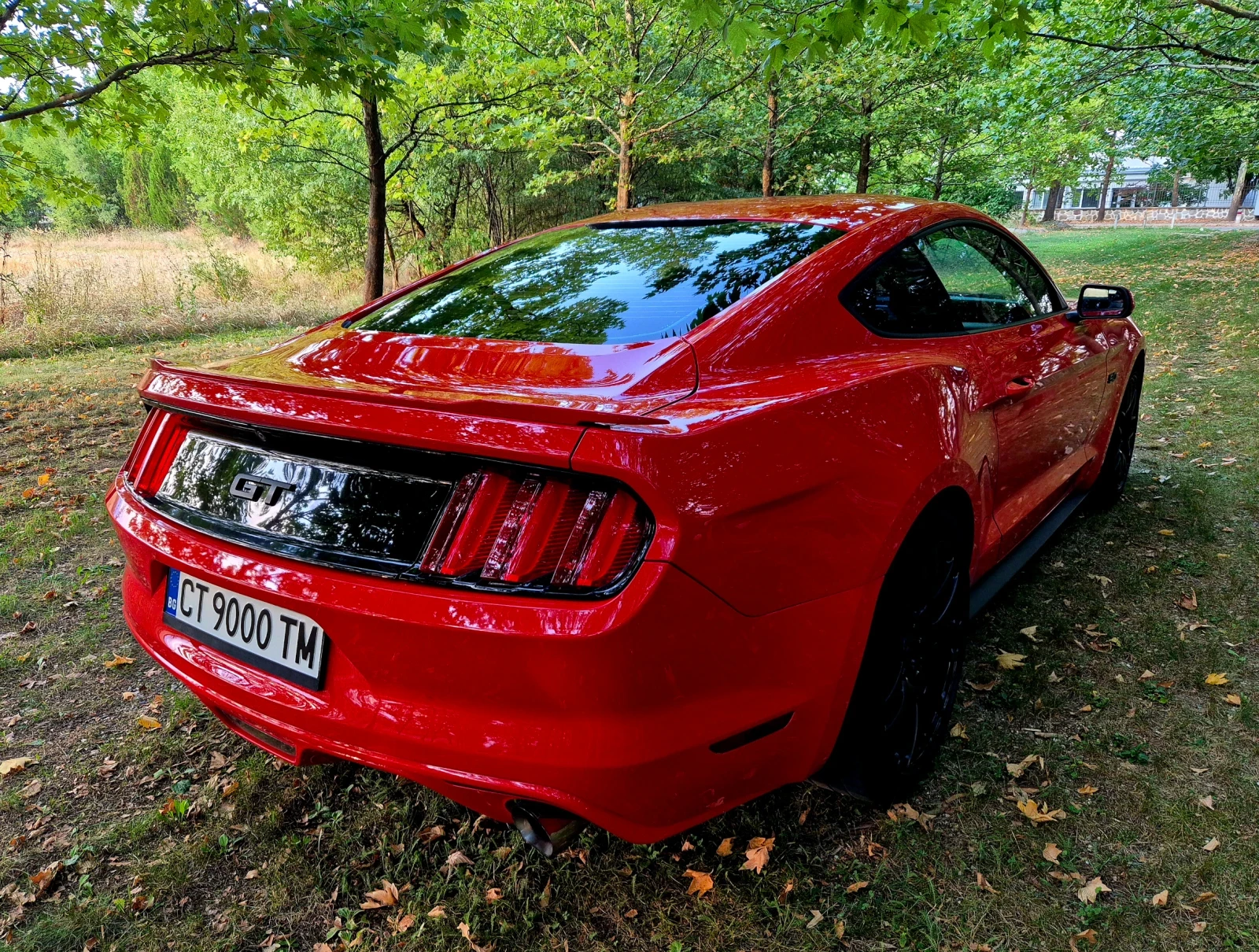 Ford Mustang GT 5.0 - изображение 4