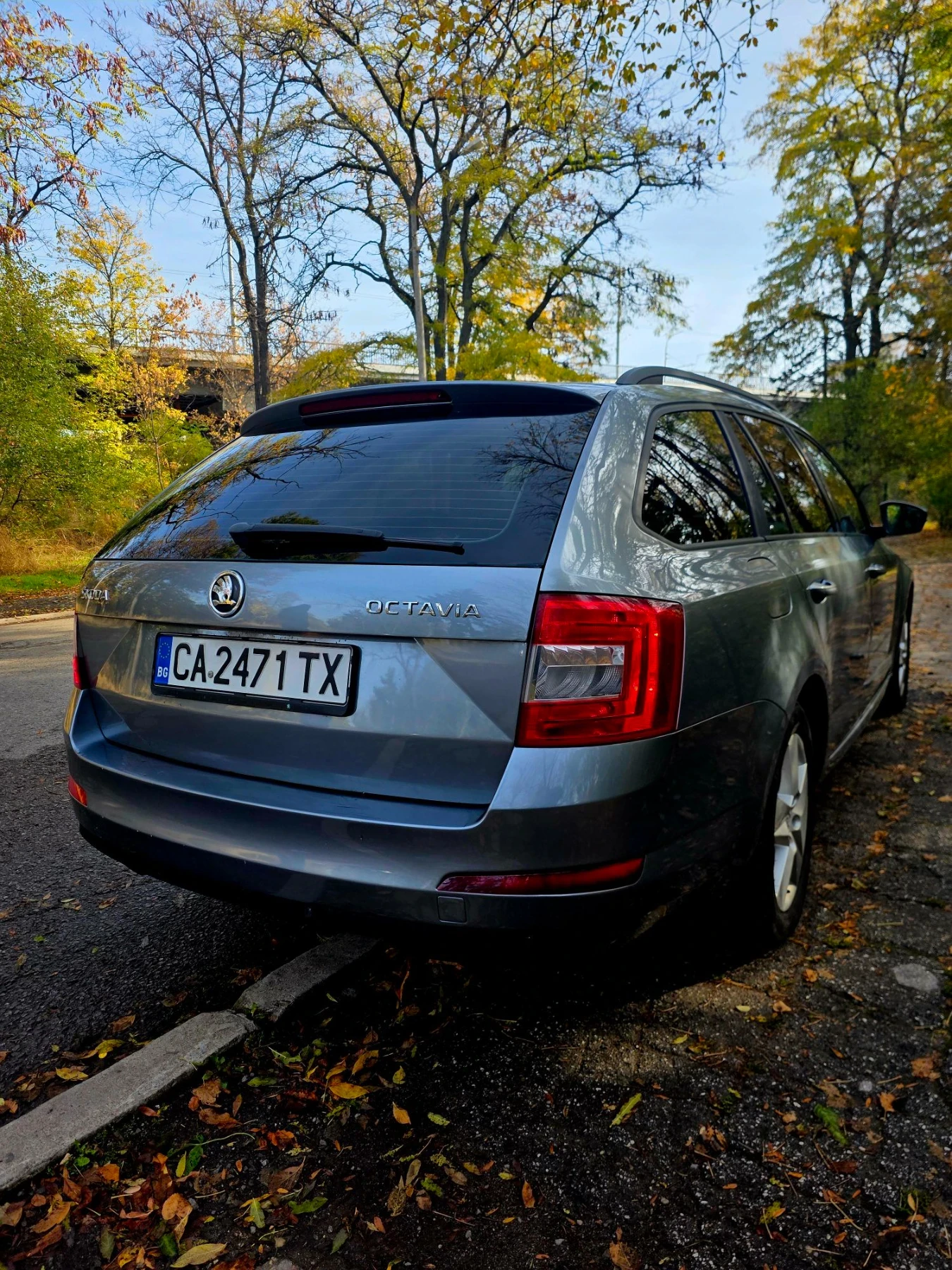 Skoda Octavia Първи собственик от Euratec, снимка 2 - Автомобили и джипове - 56636818
