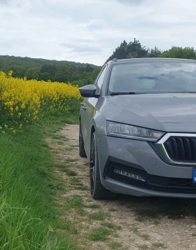 Skoda Octavia DSG7 DIGITAL NAVI NARDO GREY , снимка 3