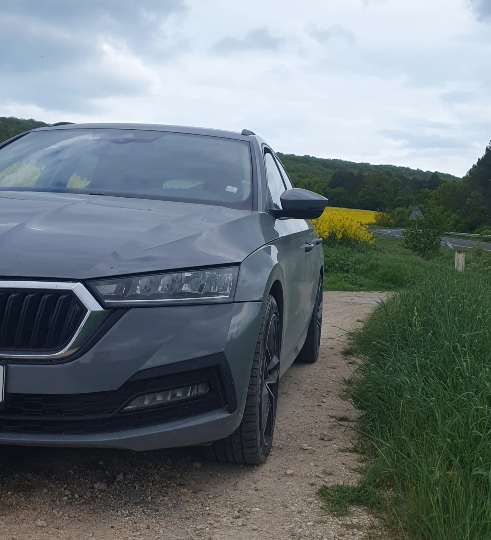 Skoda Octavia DSG7 DIGITAL NAVI NARDO GREY , снимка 4 - Автомобили и джипове - 54985702