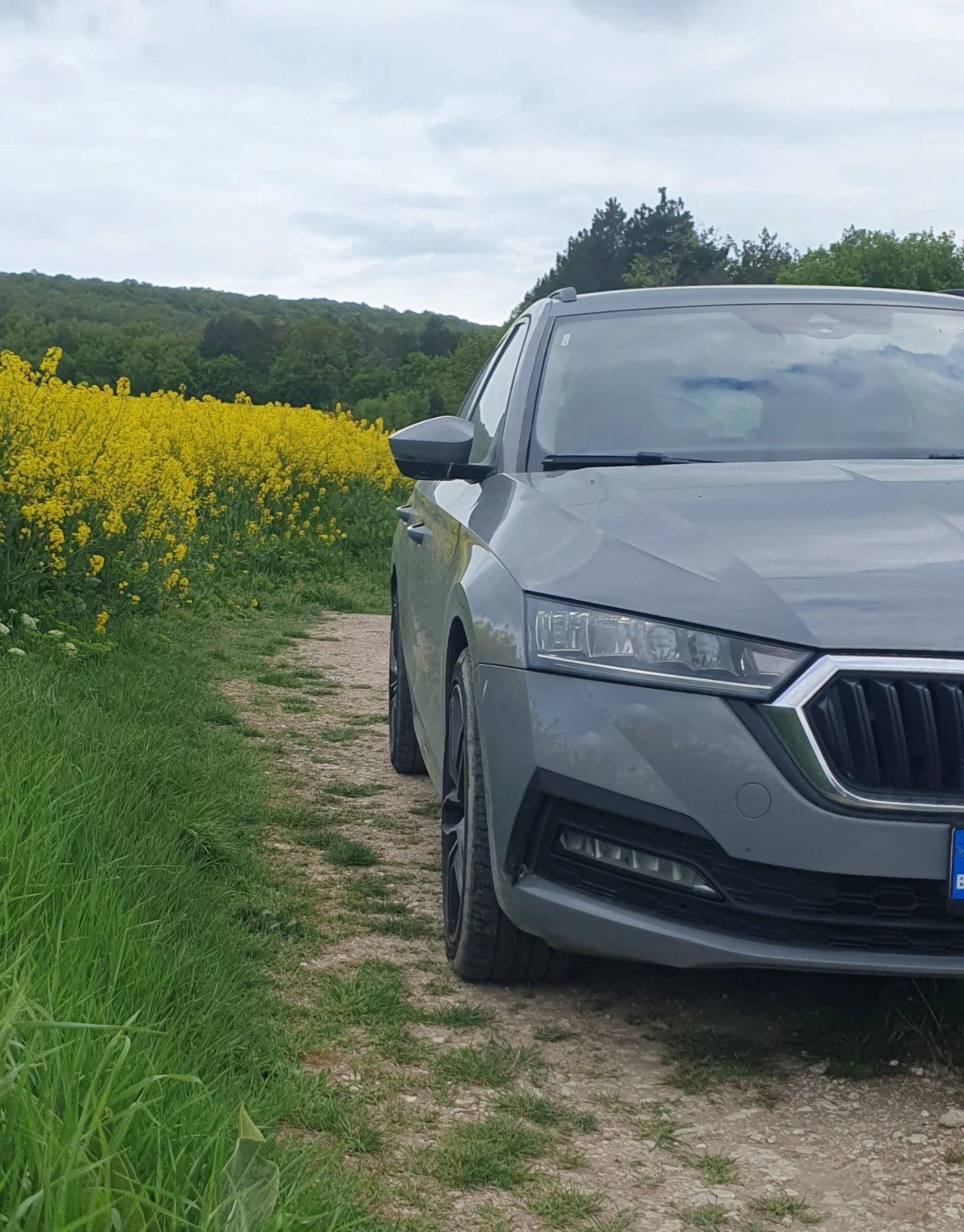 Skoda Octavia DSG7 DIGITAL NAVI NARDO GREY , снимка 3 - Автомобили и джипове - 54985702
