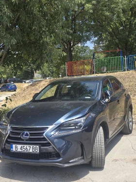Lexus NX 300h Най-високо ниво на оборудване - 24990 € / 48876.19 лв. - 11063433 2