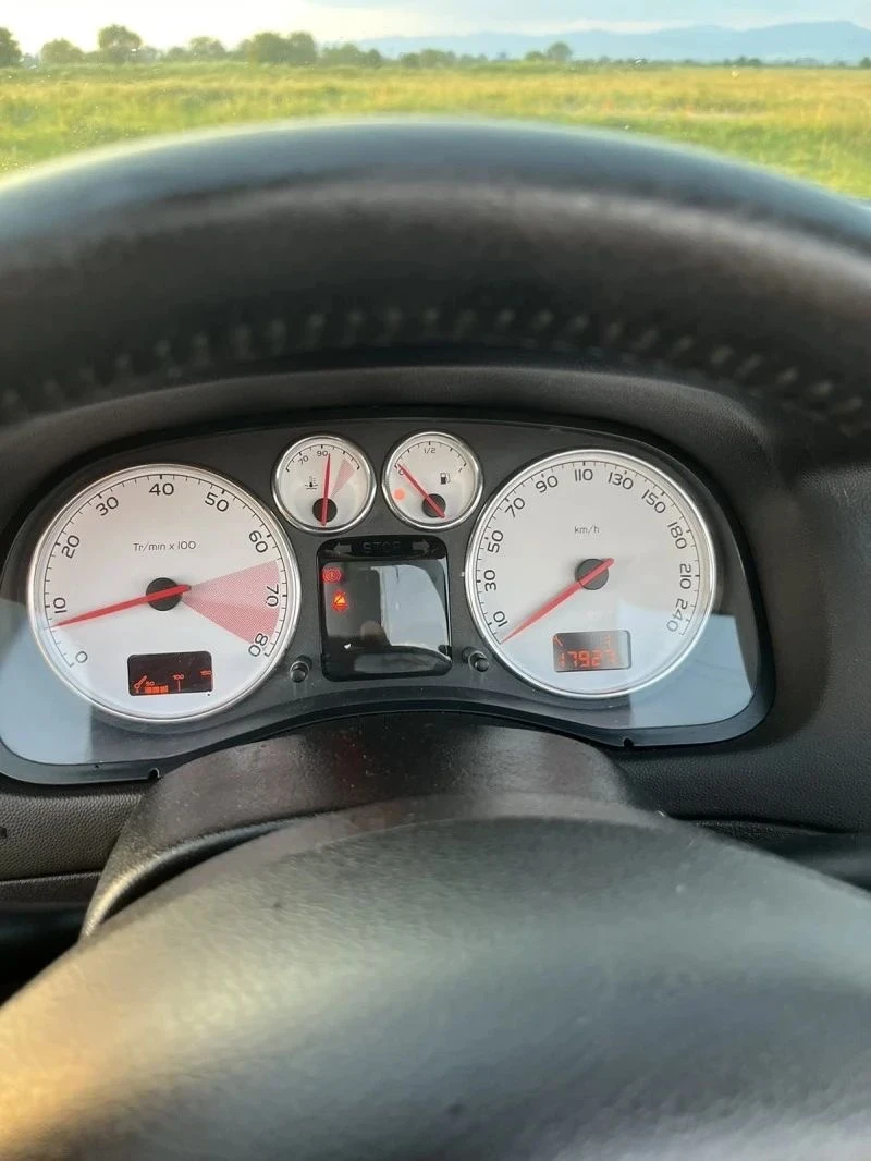 Peugeot 307, снимка 7 - Автомобили и джипове - 55962797