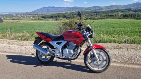 Honda Cbf CBF 250 | Mobile.bg � ����� ������ 2