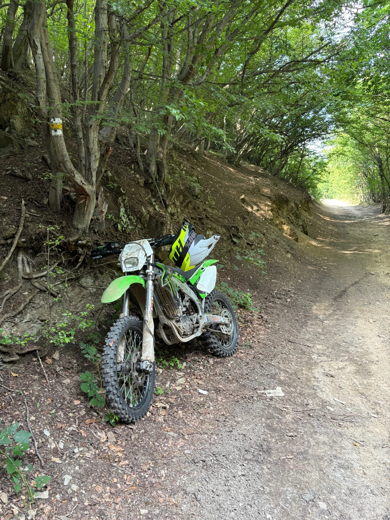 Kawasaki Kx KX450F