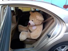 Mercedes-Benz S 450 55 АMG long, снимка 13