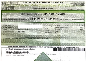 Peugeot 207 SW Panorama, снимка 13