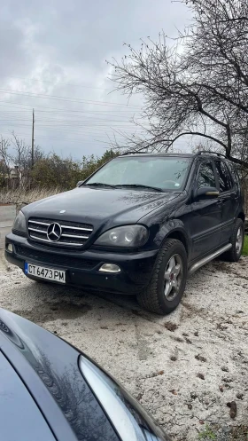 Mercedes-Benz ML 270, снимка 1