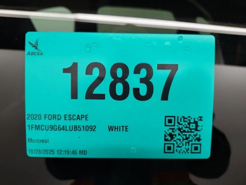 Ford Escape * SE * CARFAX *    | Mobile.bg   14