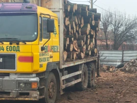 Man Fe F2000 | Auto.bg — изображение 2