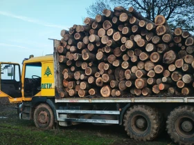 Man Fe F2000 | Auto.bg — изображение 4