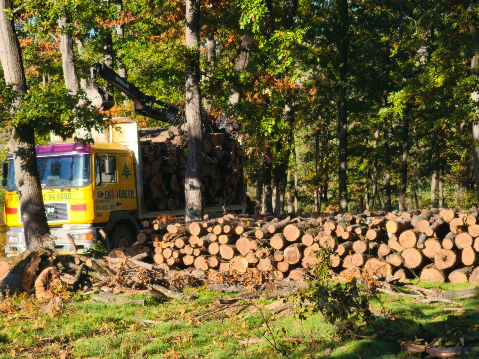 Man Fe F2000, снимка 8 - Камиони - 54078800