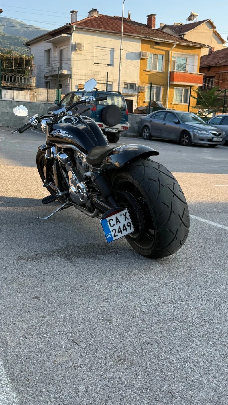 Harley-Davidson V-Rod Harley Davidson v-rod custom 