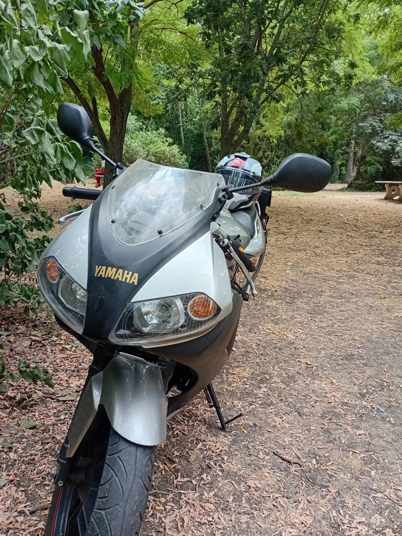 Yamaha Tzr