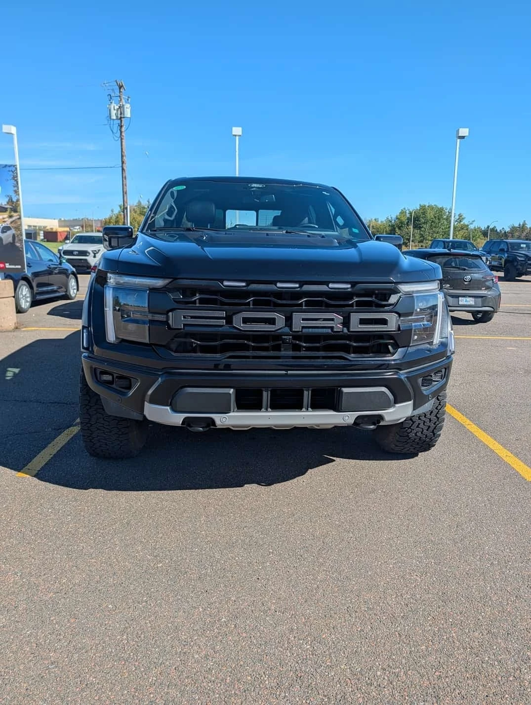 Ford F150 * Raptor * CARFAX *  | Mobile.bg � ����������� 5