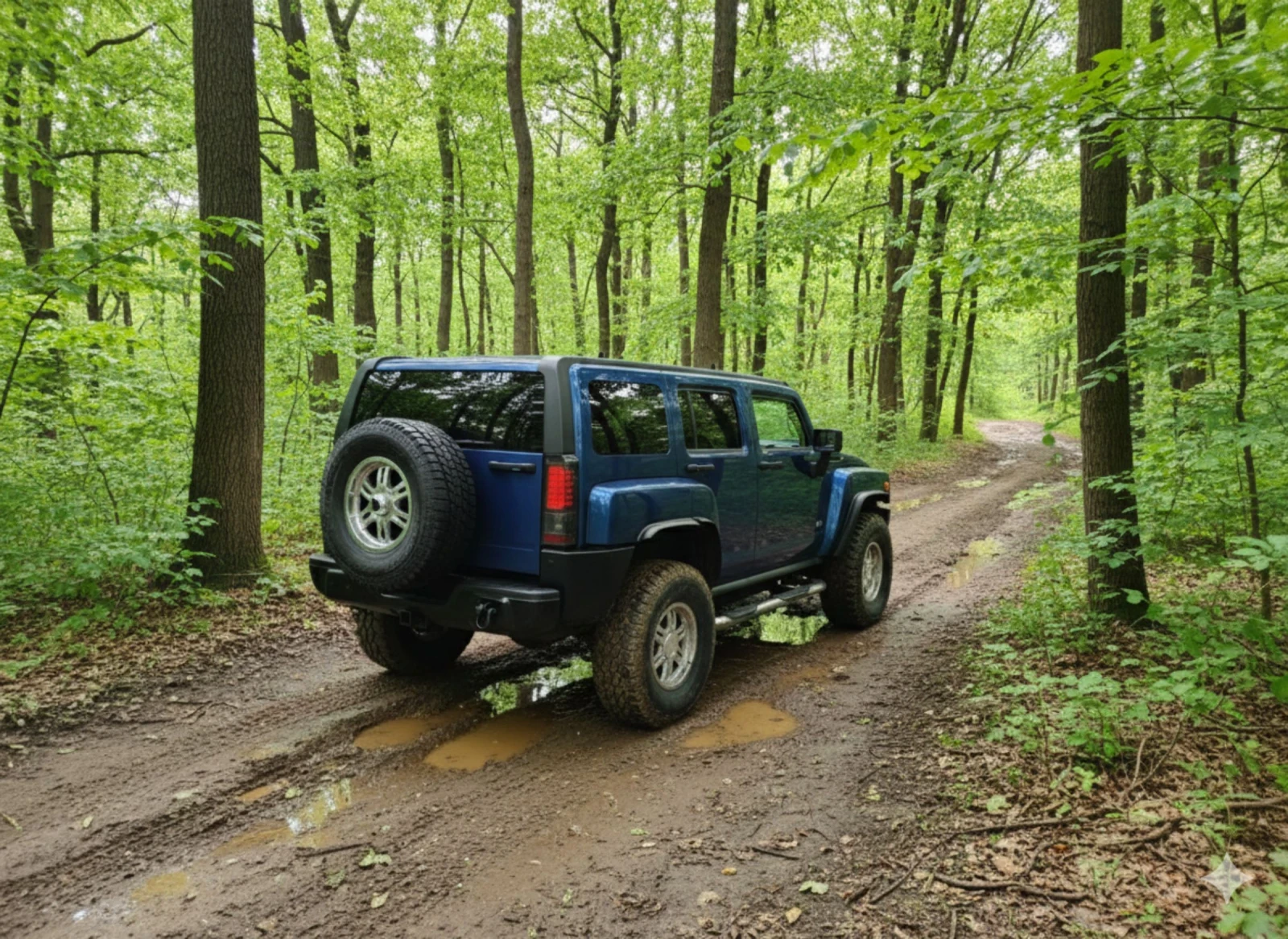 Hummer H3 * OFFROAD* НАПЪЛНО ОБСЛУЖЕН - изображение 5