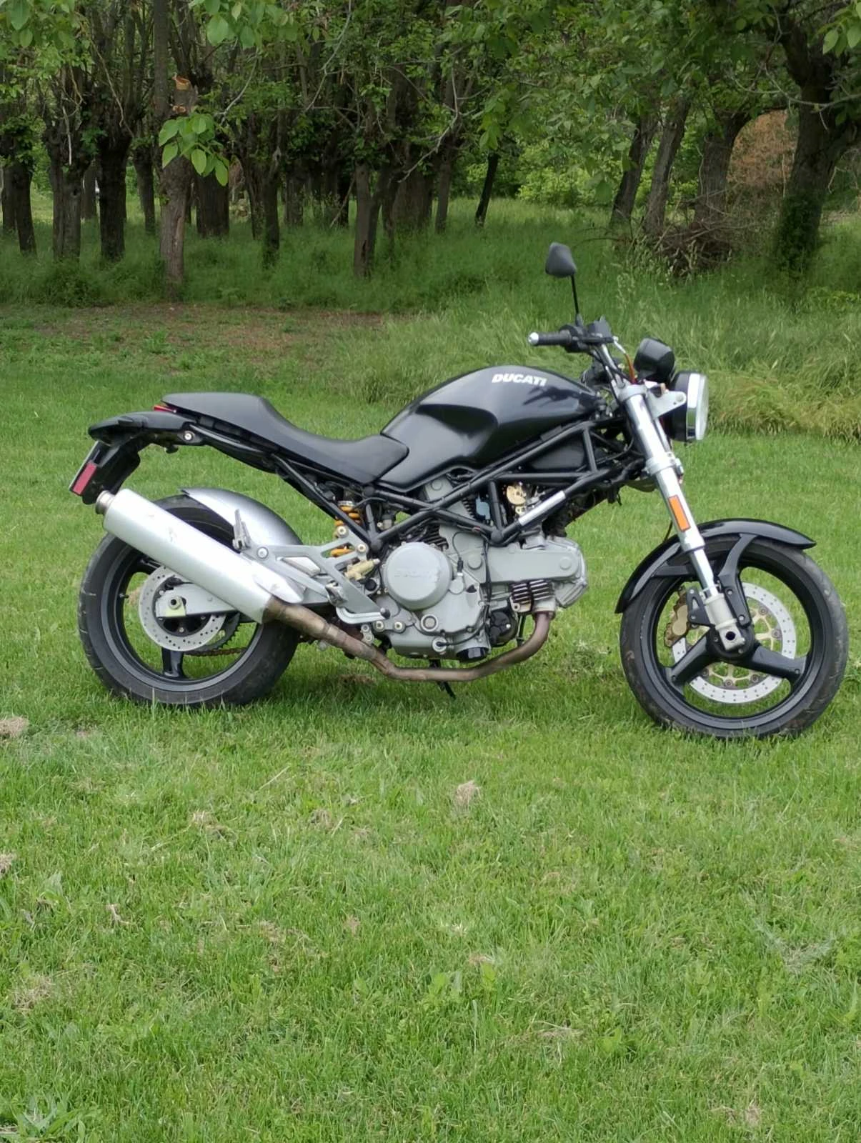 Ducati Monster  - изображение 2
